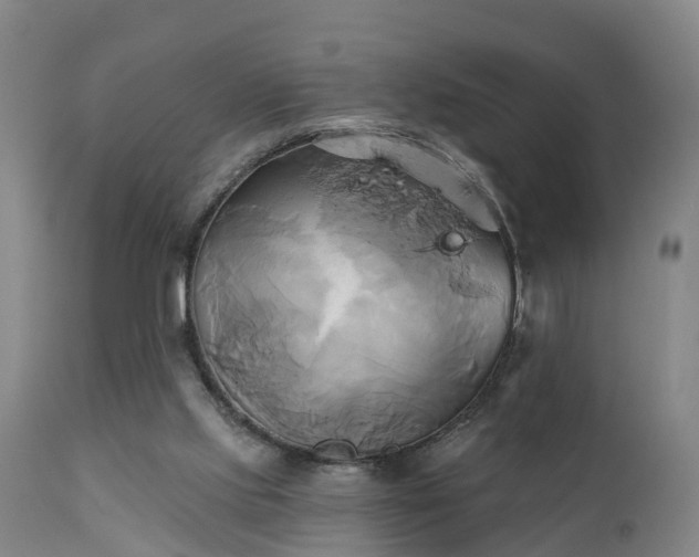 X0000111240061200907091409