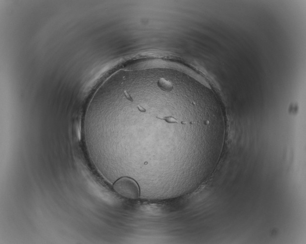 X0000111240062200907091409