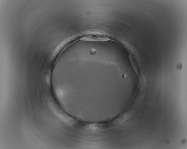 X0000111240064200907091409