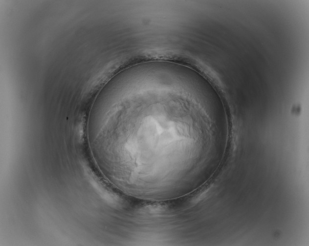 X0000111240065200907091409