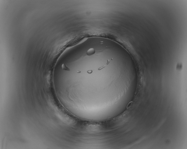 X0000111240066200907091409