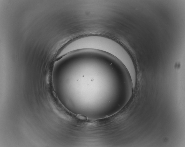 X0000111240068200907091409