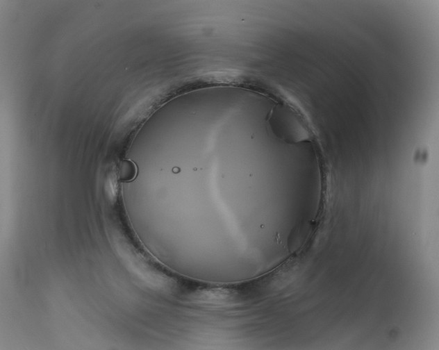 X0000111240069200907091409