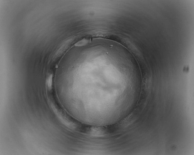 X0000111240070200907091409