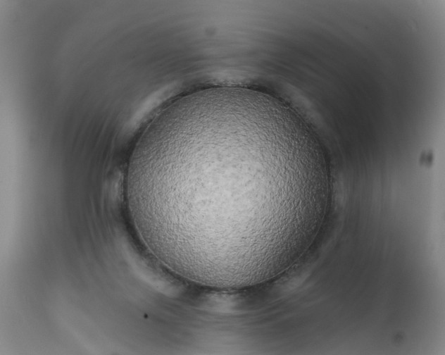 X0000111240071200907091409