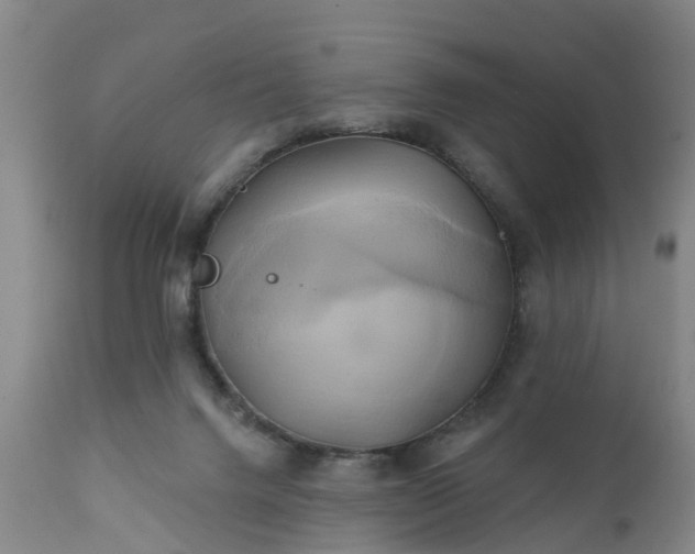 X0000111240072200907091409