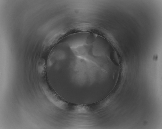 X0000111240073200907091410