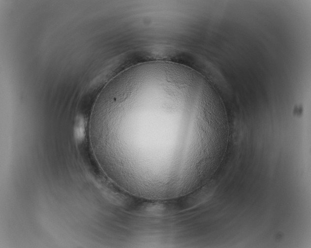 X0000111240075200907091410