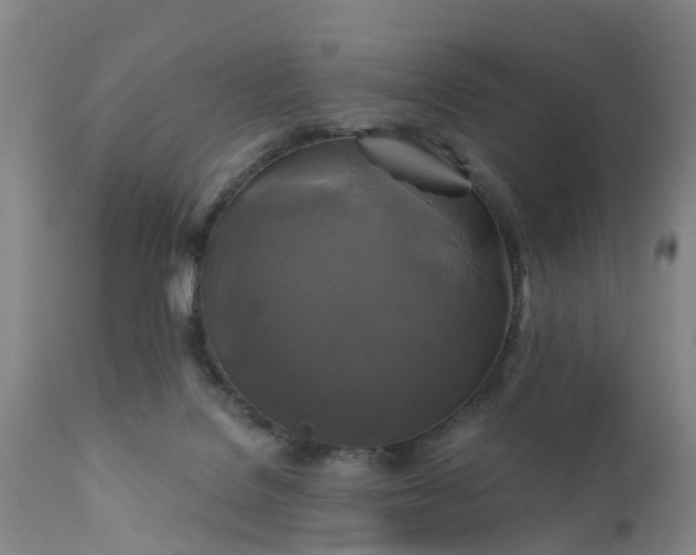 X0000111240076200907091410