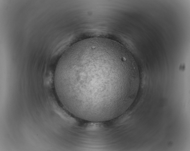 X0000111240077200907091410