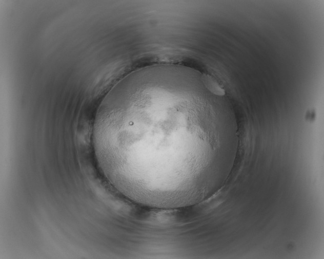 X0000111240078200907091410