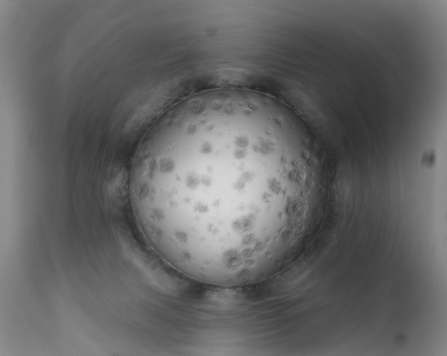 X0000111240079200907091410