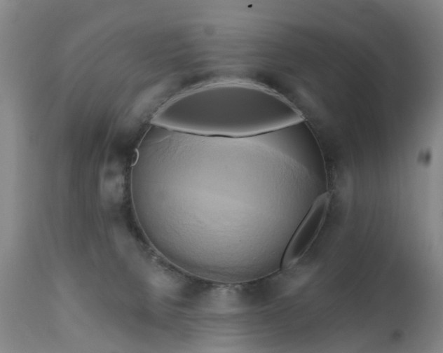 X0000111240080200907091410