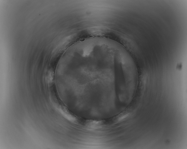 X0000111240081200907091410