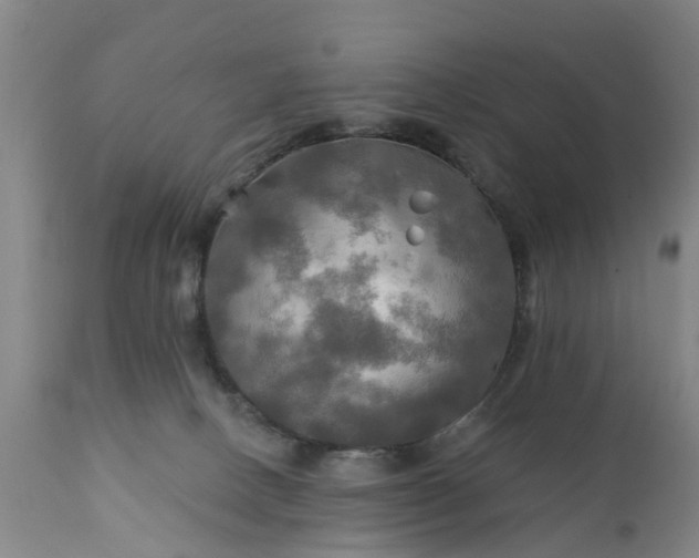 X0000111240082200907091410