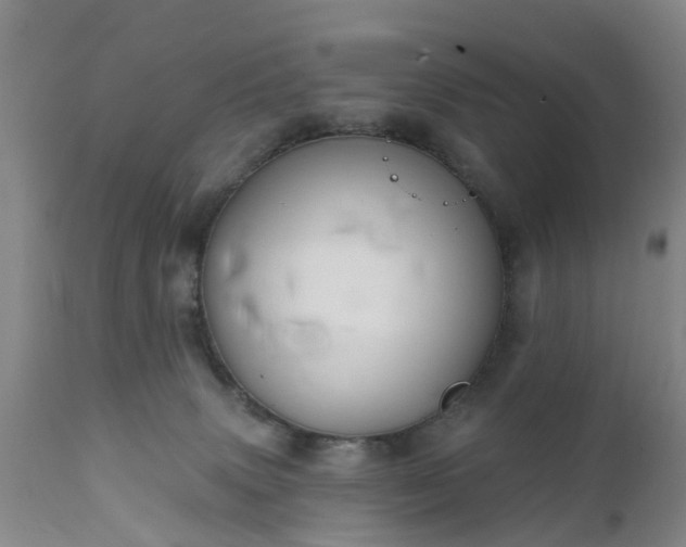 X0000111240083200907091410