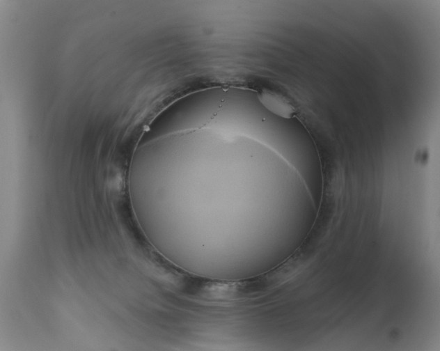 X0000111240084200907091410