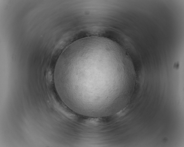 X0000111240086200907091410