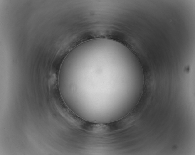 X0000111240087200907091410