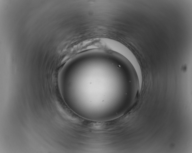 X0000111240088200907091410