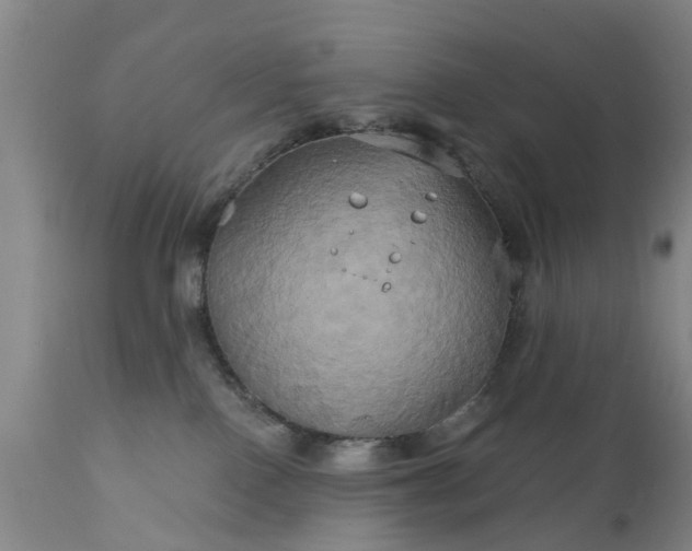 X0000111240090200907091410