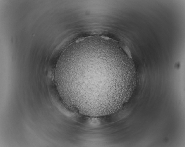 X0000111240091200907091410