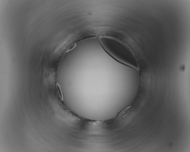 X0000111240092200907091410