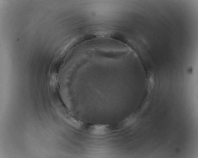 X0000111240093200907091410