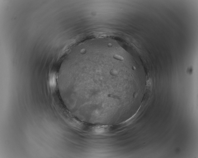 X0000111240094200907091410