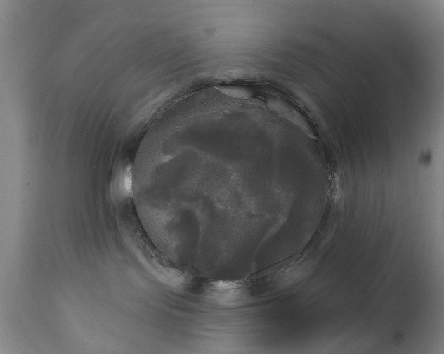 X0000111240095200907091410