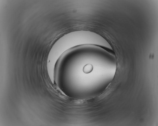 X0000111240096200907091410