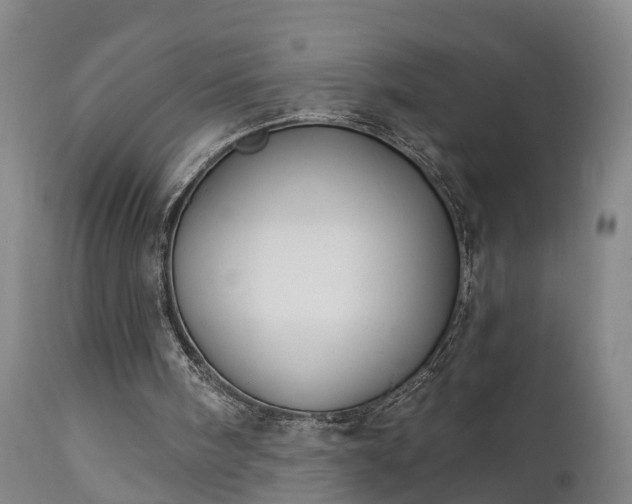 X0000111240098200907091409