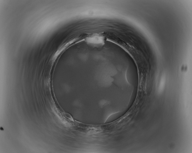 X0000111240099200907091409