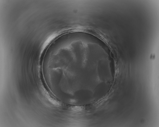 X0000111240102200907091409