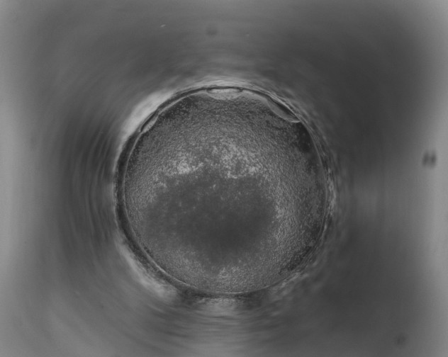 X0000111240104200907091409