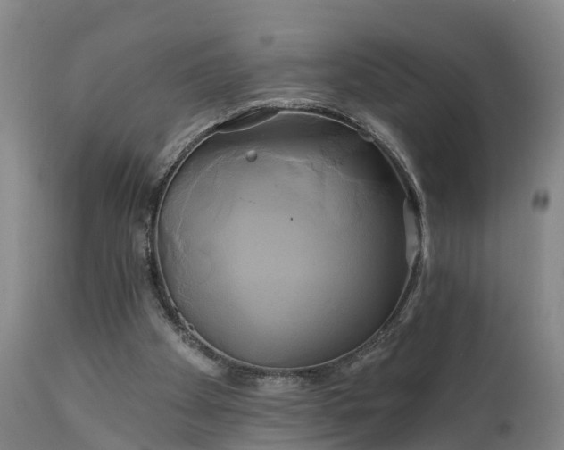 X0000111240105200907091409