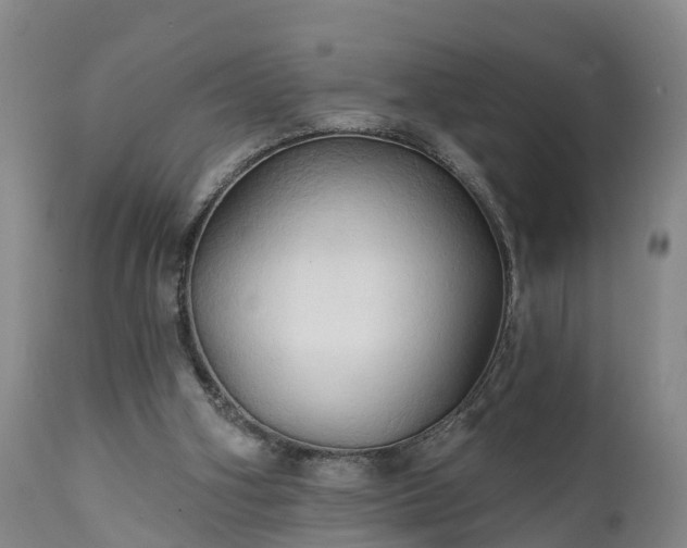 X0000111240106200907091409