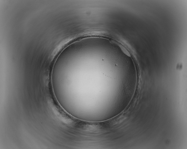 X0000111240107200907091409