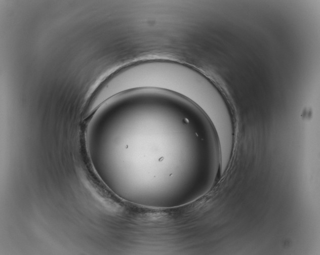 X0000111240108200907091409