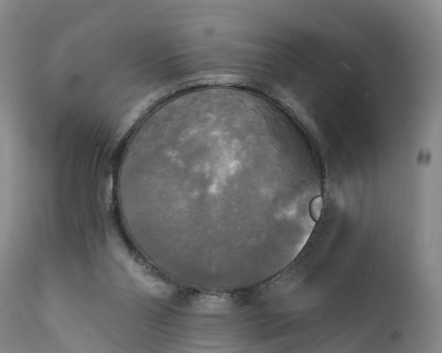 X0000111240110200907091409