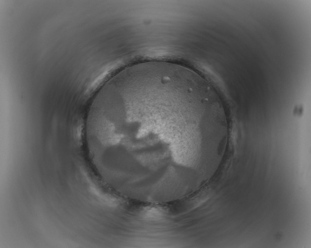 X0000111240115200907091409