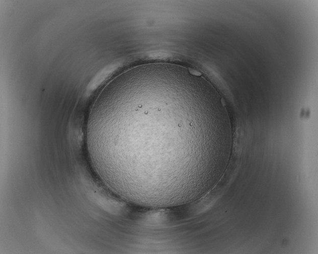 X0000111240116200907091409