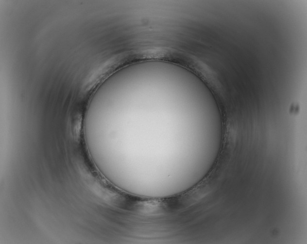 X0000111240118200907091409