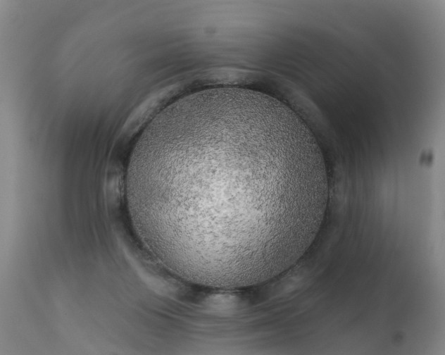 X0000111240119200907091409