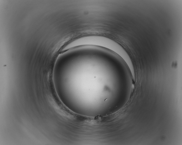 X0000111240120200907091409