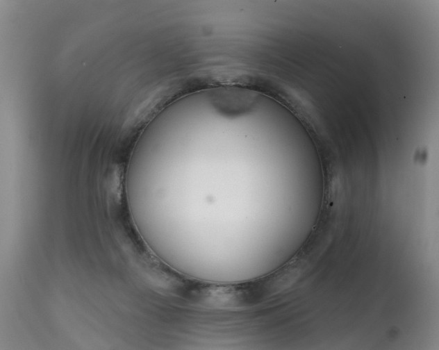 X0000111240121200907091409