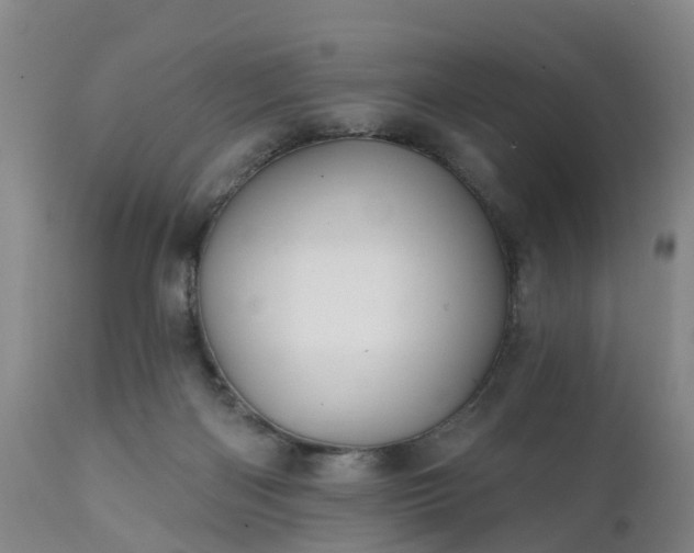 X0000111240122200907091409