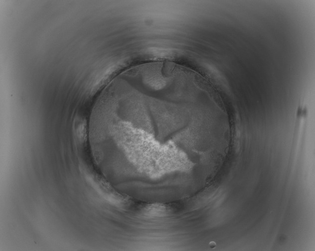 X0000111240123200907091409