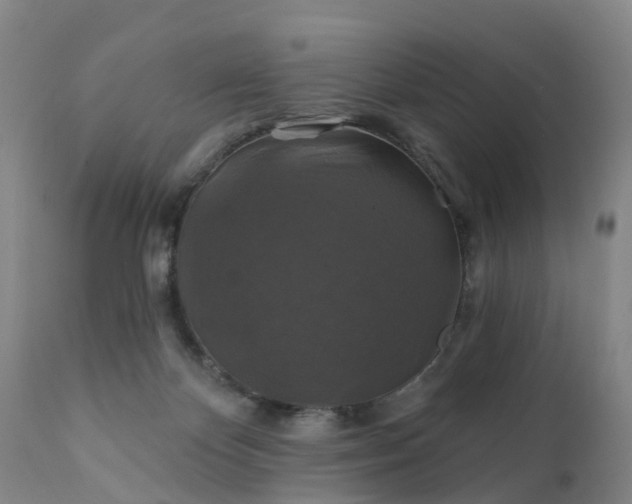 X0000111240124200907091409