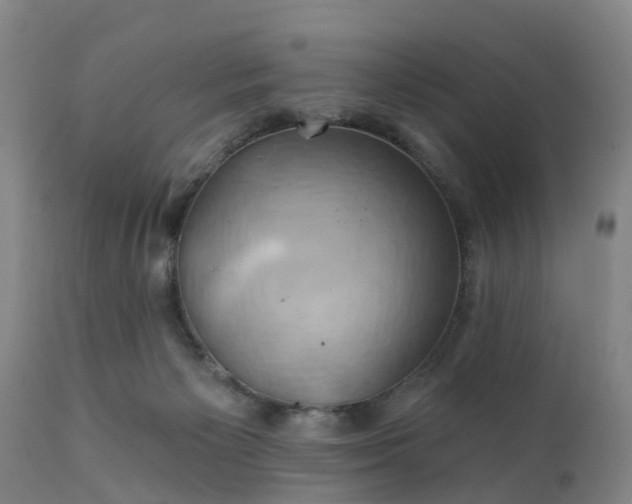 X0000111240125200907091409